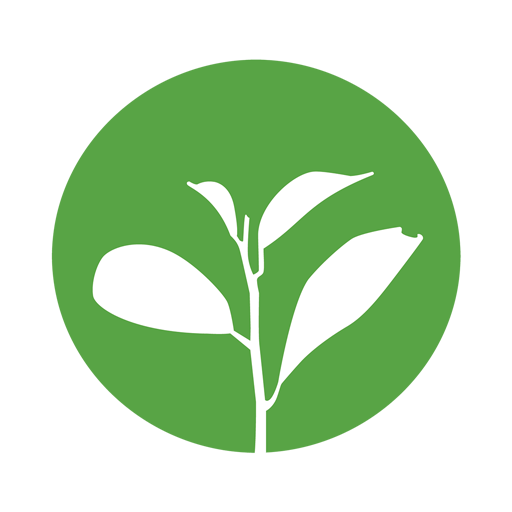 villageworx Icon