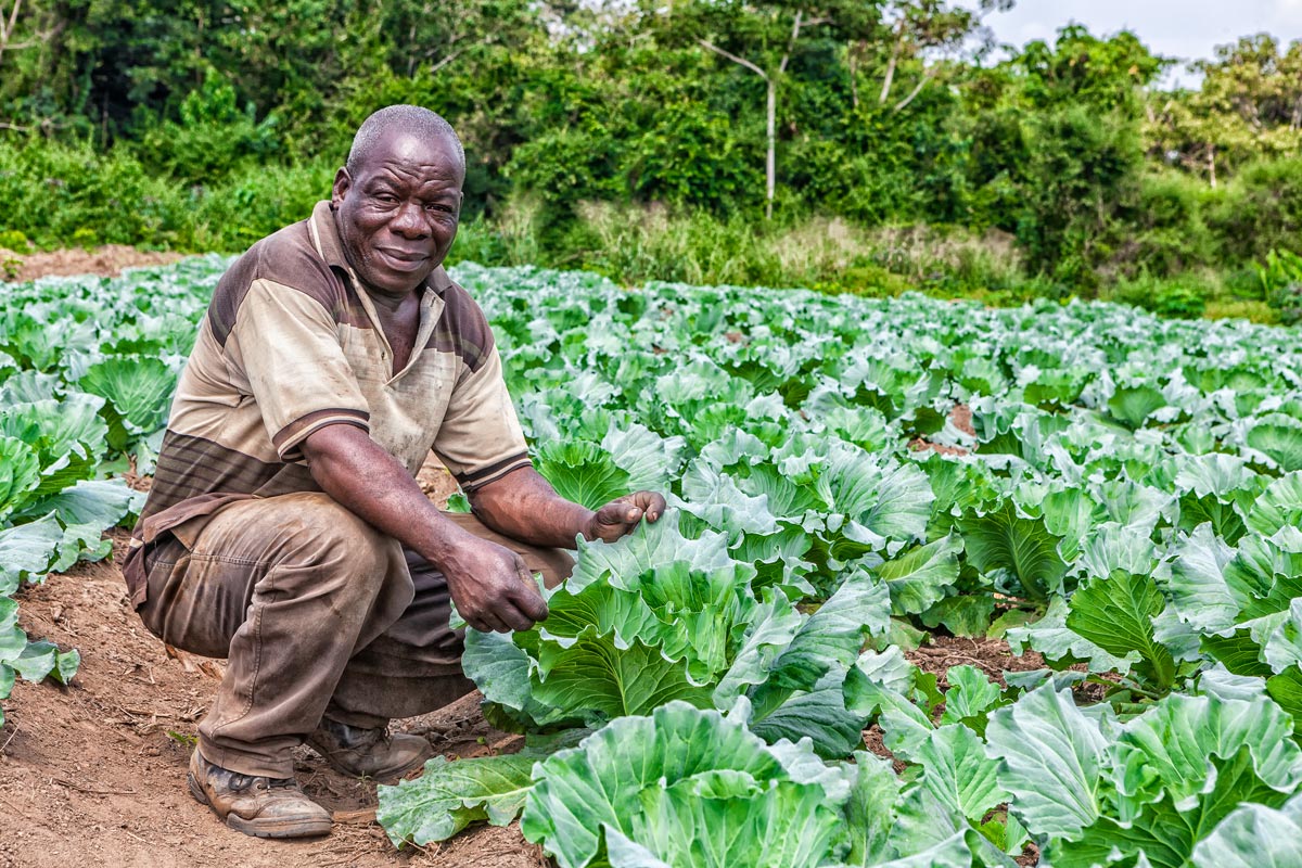 Farming-PS1200 Farming