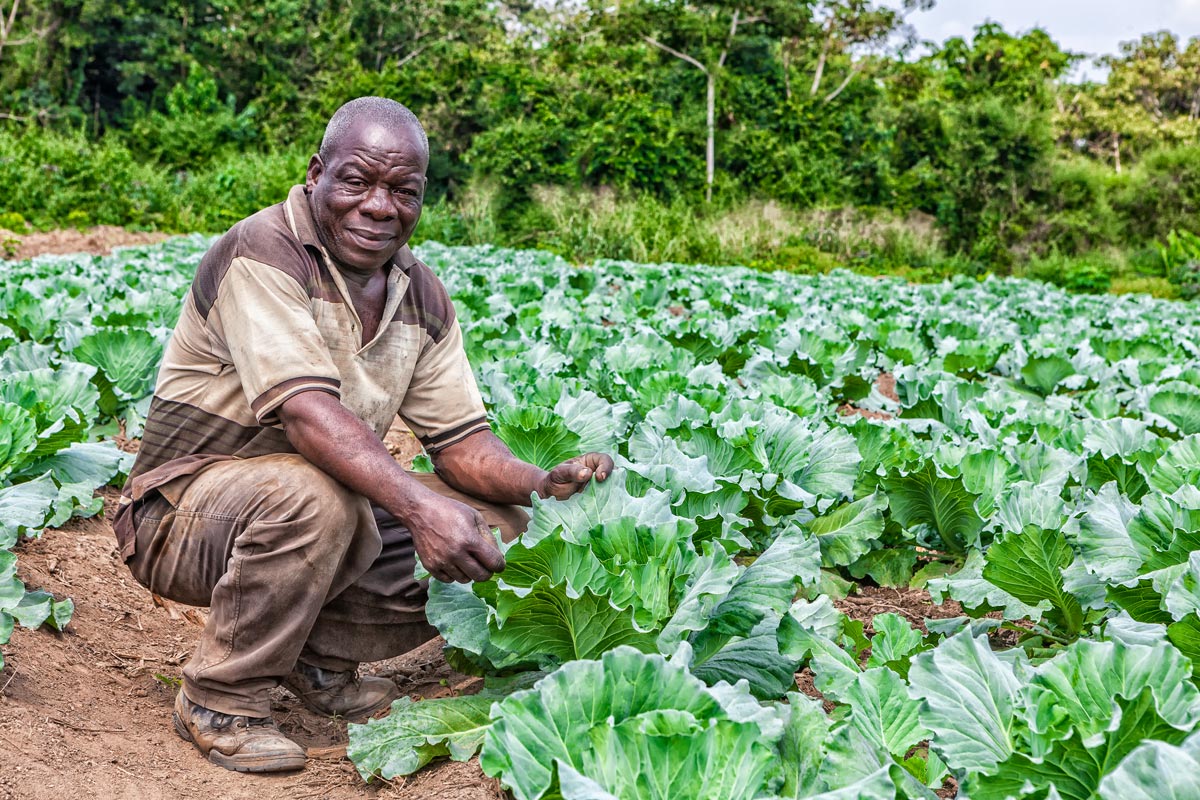 Farming